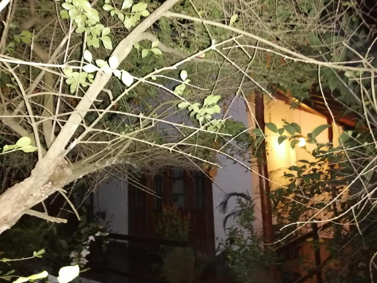 Solitary Resort 埃拉 外观 照片
